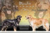Micailve [nové okno]